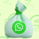 کسب درآمد در واتساپ